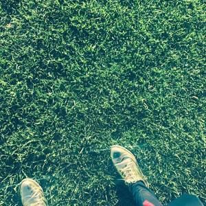 Meet your Posher, Aneesa